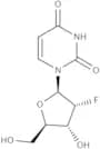 2''-Fluoro-2''-deoxyuridine