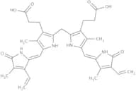 Bilirubin