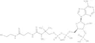 Coenzyme A hydrate