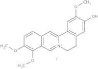 Jatrorrhizine chloride