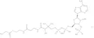n-Propionyl coenzyme A lithium salt