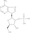 Adenosine 2′(3′)-monophosphate
