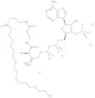 Stearoyl coenzyme A lithium salt