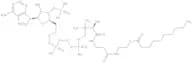 Decanoyl coenzymexa0A monohydrate