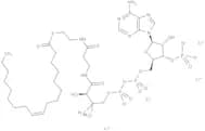 Oleoyl coenzyme A lithium salt