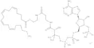 Arachidonoyl coenzymexa0A lithium salt