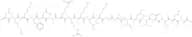 Calmodulin-dependent Protein Kinase II fragment 290-309