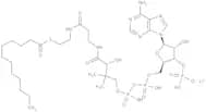 Lauroyl coenzyme A lithium salt