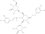 Echinacoside