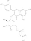 Quercetin 3-O-(6″-O-malonyl)-β-D-glucoside