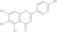 Scutellarein