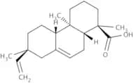 Isopimaric Acid