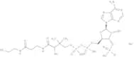 Coenzyme A sodium salt hydrate
