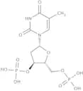 Thymidine-3'',5''-diphosphate