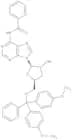 N6-Benzoyl-3''-deoxy-5''-O-DMT-adenosine