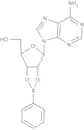 Adenosine 2'',3''-O-phenylboronate
