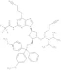 6-(2-Cyanoethylthio)-2''-deoxy-5''-O-DMT-N2-trifluoroacetylguanosine 3''-CE phosphoramidite