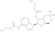 Calcium dibutyryladenosine cyclophosphate
