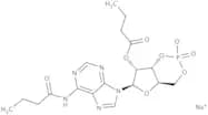 N6,2''-O-Dibutyryladenosine-3'',5''-cyclic monophosphate sodium salt