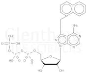4-Amino-3-(1-naphthylmethyl)-1H-pyrazolo[3,4-d]pyrimidine-1-(b-D-ribofuranosyl-5’-triphosphate)