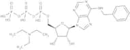 N6-Benzyladenosine triphosphate triethylammonium salt