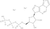 1,N6-Etheno-adenosine-5’-triphosphate sodium salt - 10 mM solution