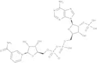 b-Nicotinamide adenine dinucleotide phosphate hydrate