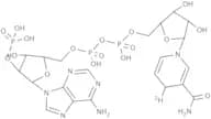 b-Nicotinamide-D adenine dinucleotide reduced form
