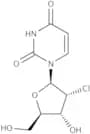 2''-Chloro-2''-deoxyuridine