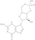 Guanosine 3'',5''-cyclic monophosphate