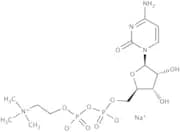 Citicoline sodium salt