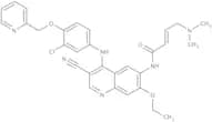 Neratinib