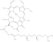 Chlorophyll b