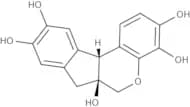 Haematoxylin, 75% (C.I. 75290)