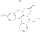 Rhodamine 123