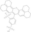 Sulforhodamine 101