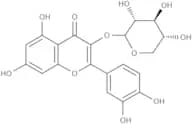 Quercetin-3-D-xyloside