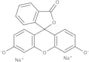 Fluorescein sodium salt, USP grade, 95% (C.I. 45350)