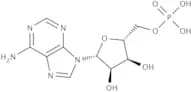 Adenosine 5''-monophosphate
