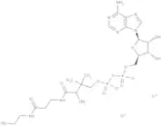 3''-Dephosphocoenzyme A