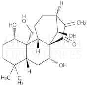 Kamebakaurine