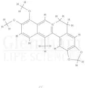 13-Methylberberine
