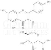 Kaempferol 3-glucuronide