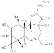 Phorbol