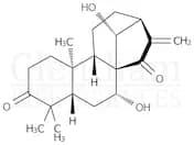 glaucocalyxin A