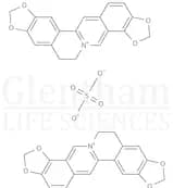 Coptisine sulfate