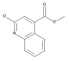 2-Hydroxy-4-quinolinecarboxylic Acid Methyl Ester