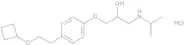 1-[4-(2-Cyclobutoxyethyl)phenoxy]-3-(isopropylamino)propan-2-ol Hydrochloride