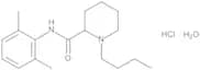 Bupivacaine Hydrochloride Monohydrate