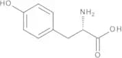 Tyrosine